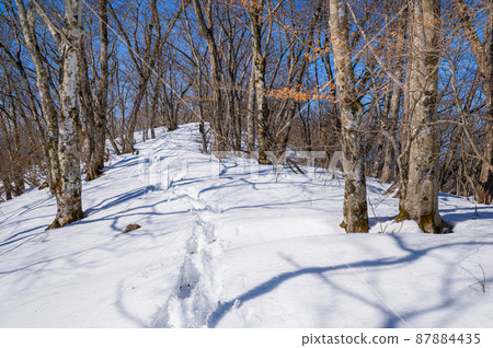 (Yamanashi Prefecture) Misaka Kurodake / Snowy mountain road in severe winter 87884435