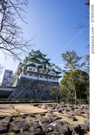 [Aichi Prefecture] Nagoya Castle 87885000