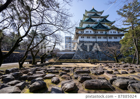 [Aichi Prefecture] Nagoya Castle 87885024