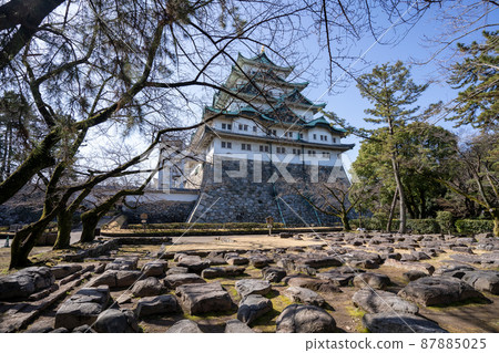 [Aichi Prefecture] Nagoya Castle 87885025