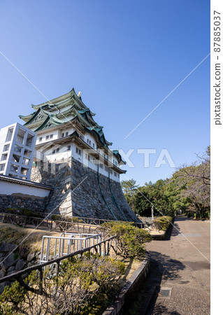 [Aichi Prefecture] Nagoya Castle 87885037