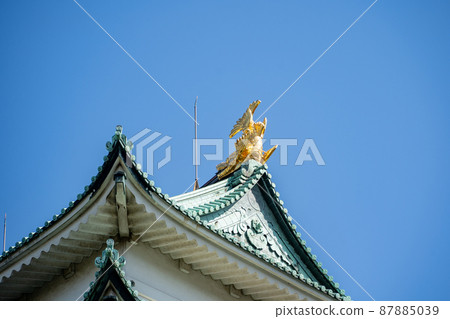 [愛知縣]名古屋城 87885039