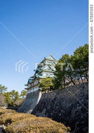 [愛知縣]名古屋城 87885083