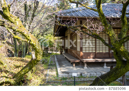[Aichi Prefecture] Nagoya Castle 87885096