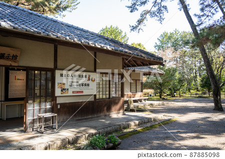 [Aichi Prefecture] Nagoya Castle 87885098
