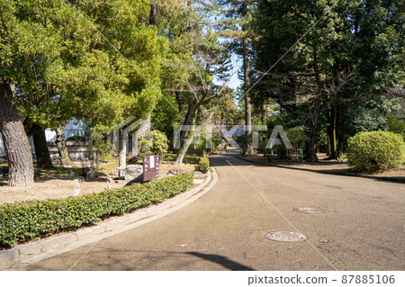 [Aichi Prefecture] Nagoya Castle 87885106