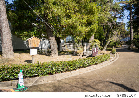 [Aichi Prefecture] Nagoya Castle 87885107