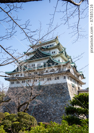 [Aichi Prefecture] Nagoya Castle 87885116