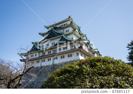 [Aichi Prefecture] Nagoya Castle 87885117