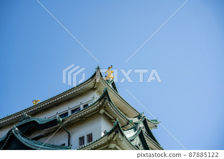 [Aichi Prefecture] Nagoya Castle 87885122