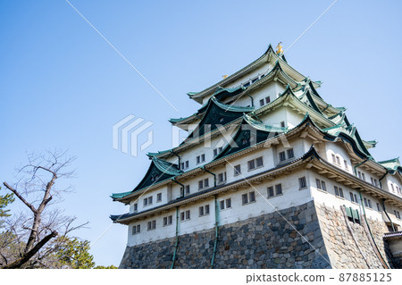 [Aichi Prefecture] Nagoya Castle 87885125