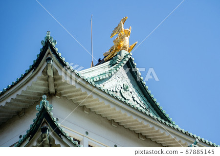 [Aichi Prefecture] Nagoya Castle 87885145
