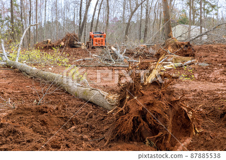 Cutting forest tree during land clearing for new residential construction Cutting forest tree during land clearing for new residential construction 87885538