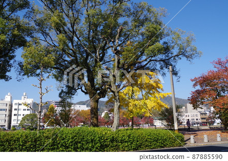 廣島天馬河濱公園的秋景 廣島天馬河濱公園的秋景 87885590