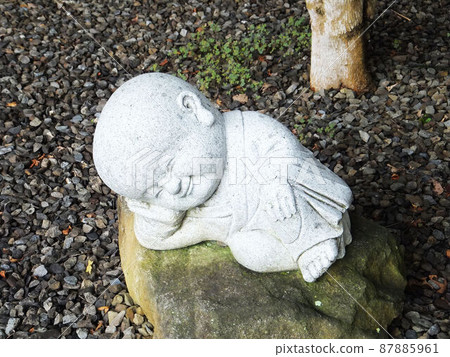 廟宇書院 87885961