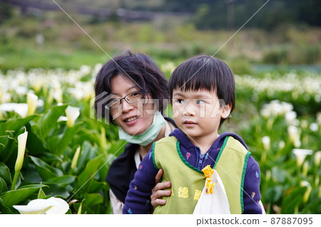 踏青 踏青 87887095