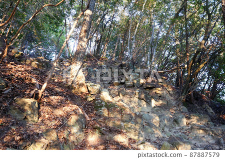 觀城山城 87887579