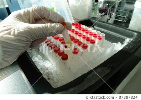 醫療檢體 87887824