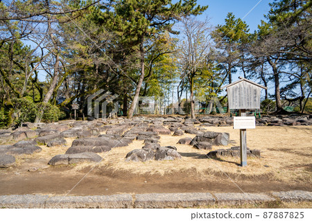 [Aichi Prefecture] Nagoya Castle 87887825