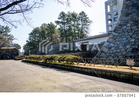 [Aichi Prefecture] Nagoya Castle 87887841