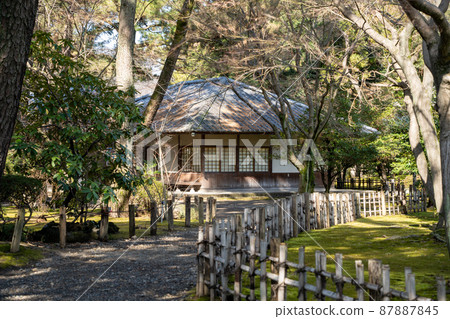 [Aichi Prefecture] Nagoya Castle 87887845