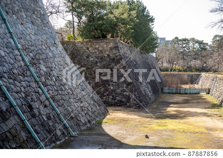[Aichi Prefecture] Nagoya Castle 87887856