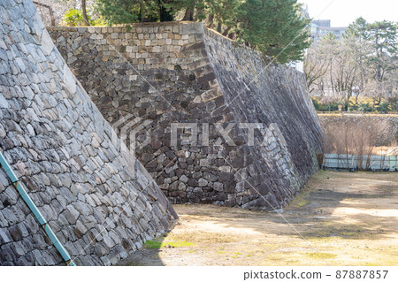 [Aichi Prefecture] Nagoya Castle 87887857