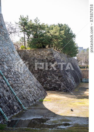 [Aichi Prefecture] Nagoya Castle 87887858