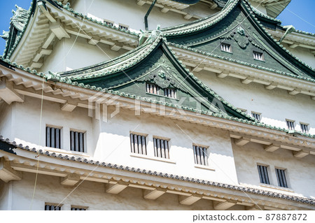 [Aichi Prefecture] Nagoya Castle 87887872