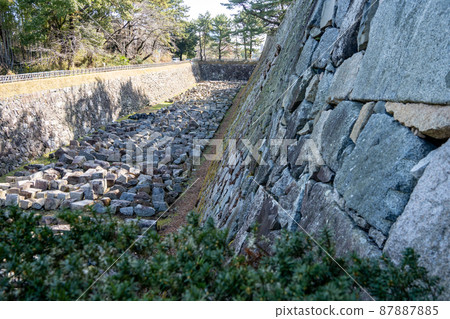 [Aichi Prefecture] Nagoya Castle 87887885