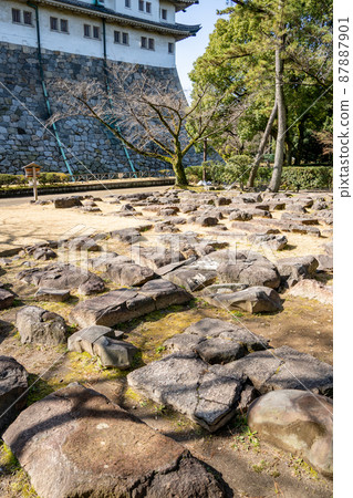 [Aichi Prefecture] Nagoya Castle 87887901