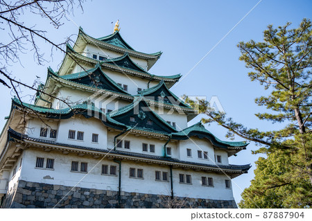 [Aichi Prefecture] Nagoya Castle 87887904