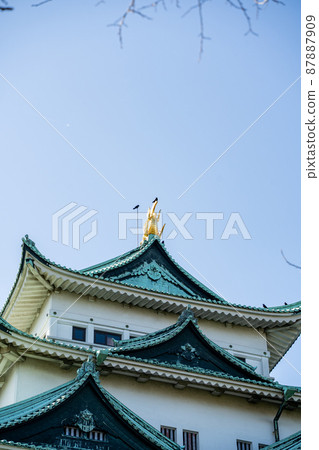 [愛知縣]名古屋城 87887909