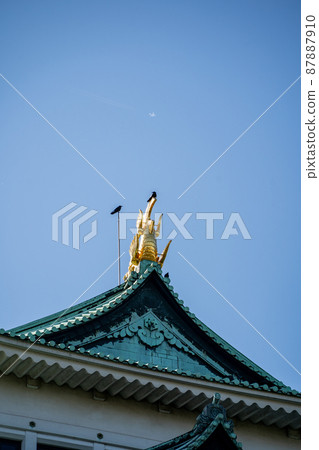 [愛知縣]名古屋城 87887910