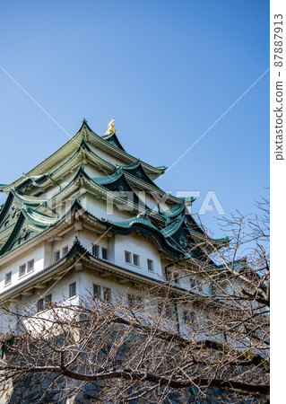 [Aichi Prefecture] Nagoya Castle 87887913