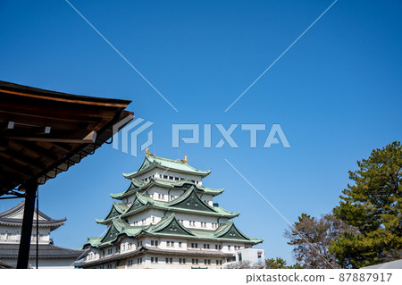 [Aichi Prefecture] Nagoya Castle 87887917