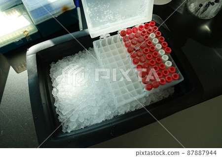 medical specimen 87887944