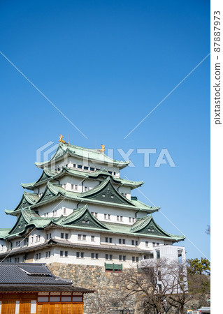 [Aichi Prefecture] Nagoya Castle 87887973