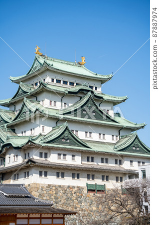 [Aichi Prefecture] Nagoya Castle 87887974