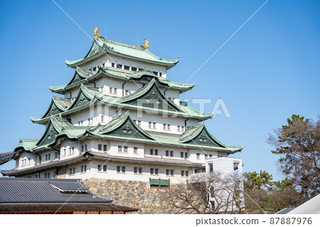 [Aichi Prefecture] Nagoya Castle 87887976