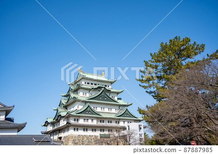 [愛知縣]名古屋城 87887985