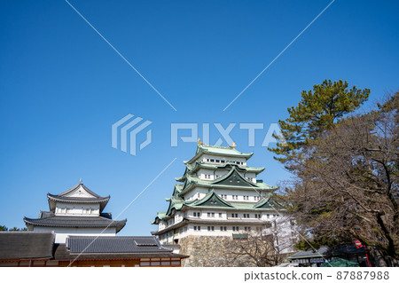 [Aichi Prefecture] Nagoya Castle 87887988