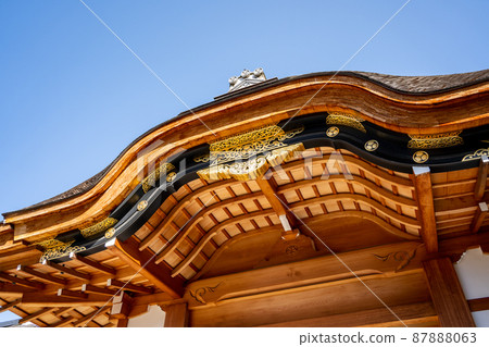 [Aichi Prefecture] Nagoya Castle 87888063