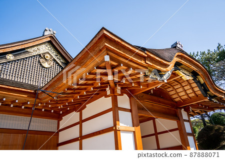 [Aichi Prefecture] Nagoya Castle 87888071