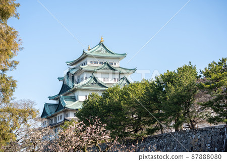[Aichi Prefecture] Nagoya Castle 87888080