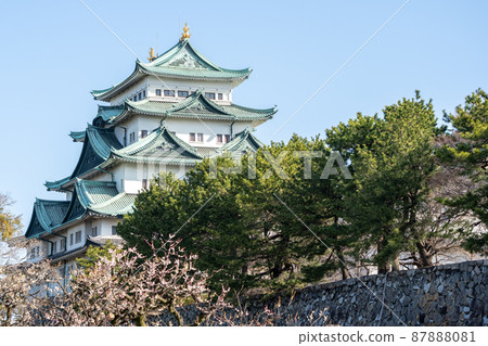 [Aichi Prefecture] Nagoya Castle 87888081