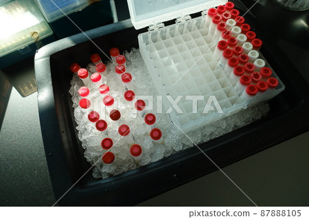 醫療檢體 醫療檢體 87888105