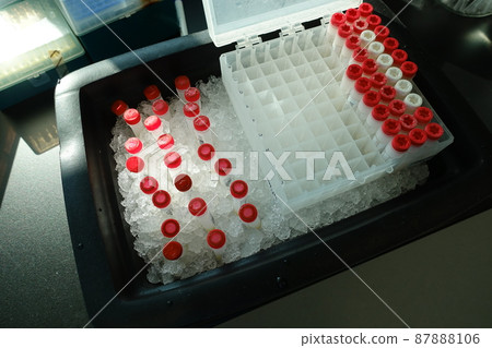 醫療檢體 醫療檢體 87888106