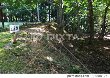 Shinonomaru Castle 87888124