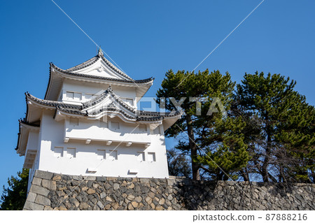 [愛知縣]名古屋城 87888216